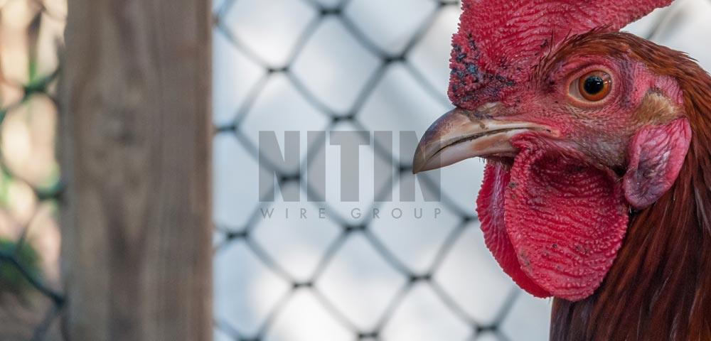 Poultry Net by Nitin Wire Group