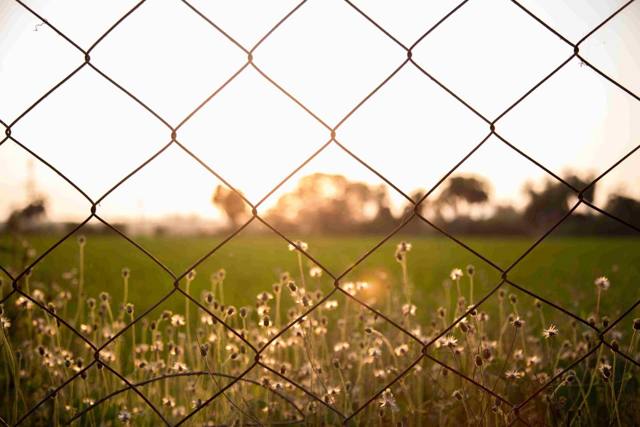 Chainlink Fence, photo 5