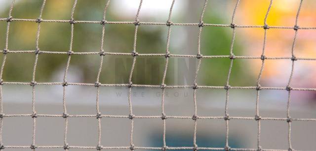 Poultry Net, photo 2