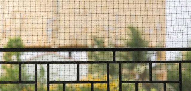 Nylon Net / Safety Net / Sport Net, photo 3