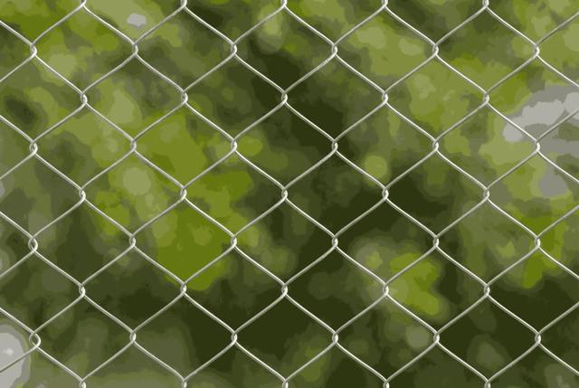 Chainlink Fence, photo 2