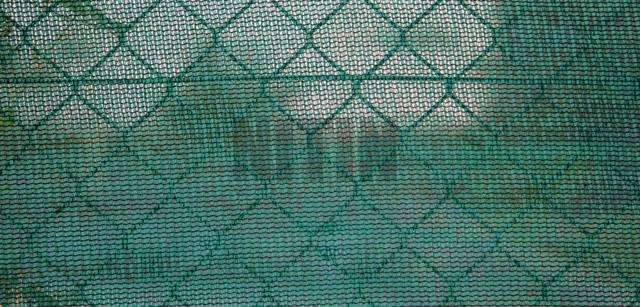 Shade Net, photo 3