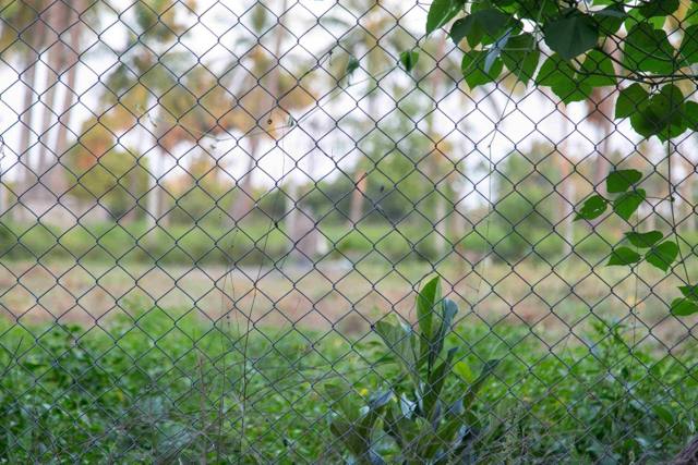 Chainlink Fence, photo 4