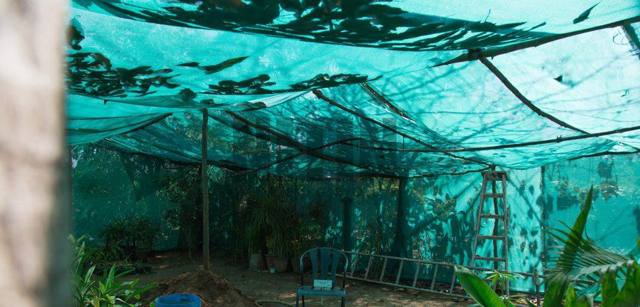 Shade Net, photo 2