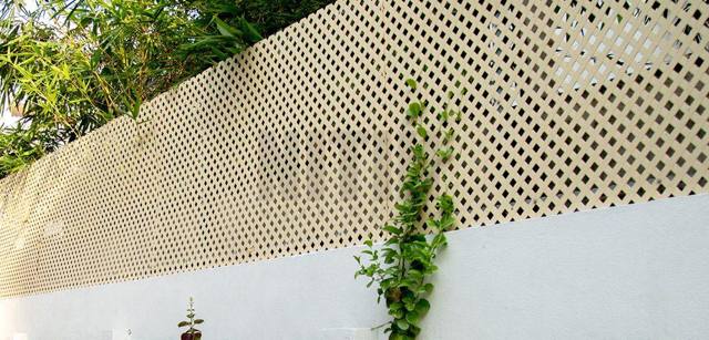 Lattice Sheet, photo 2