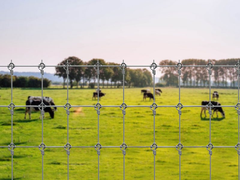 Stay-lock fence